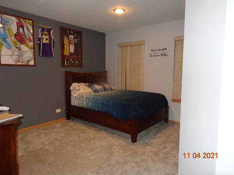 6509 Bridle Path Dr, Matteson, IL 60443 photo 14
