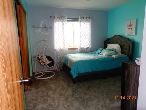 6509 Bridle Path Dr, Matteson, IL 60443 photo 27