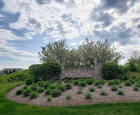 3817 Honeysuckle Ln, Elgin, IL 60124 photo 15