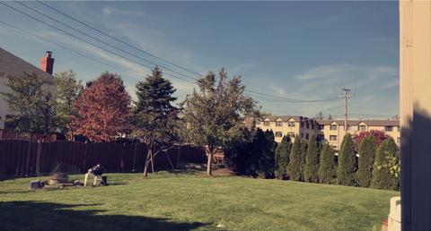 801 Reef Ct, Wheeling, IL 60090 photo 21