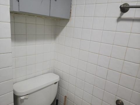 1115 Bangs St, Aurora, IL 60505 photo 11