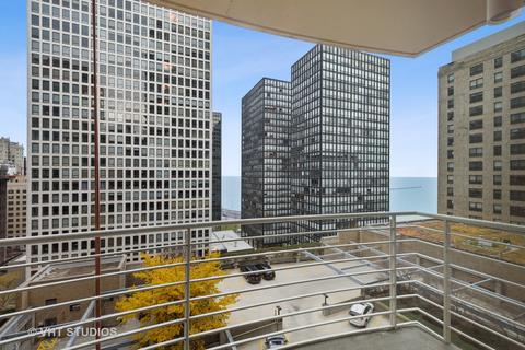 250 E Pearson St #1202, Chicago, IL 60611 photo 13