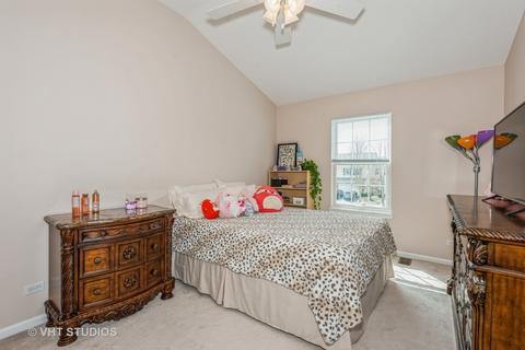 8 Shade Tree Ct, Algonquin, IL 60102 photo 9
