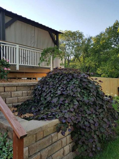 2070 E Old Pine Bluff Rd, Morris, IL 60450 photo 26