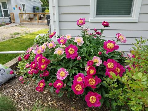 2070 E Old Pine Bluff Rd, Morris, IL 60450 photo 29