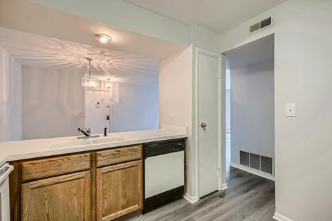 4610 Kings Walk Dr #2C, Rolling Meadows, IL 60008 photo 5