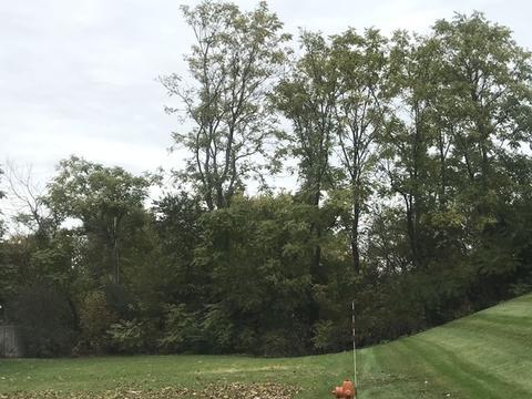 635 E 4th Ave, Naperville, IL 60540 photo 1