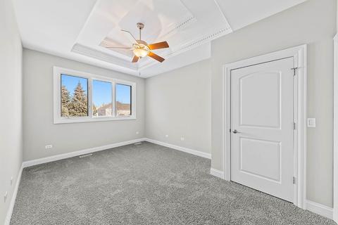 3711 Grassmere Rd, Naperville, IL 60564 photo 38