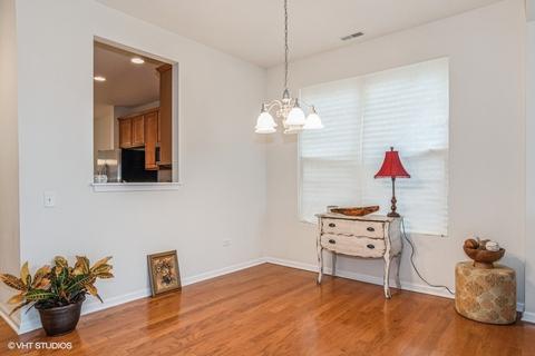 2851 Cascade Falls Cir, Elgin, IL 60124 photo 7