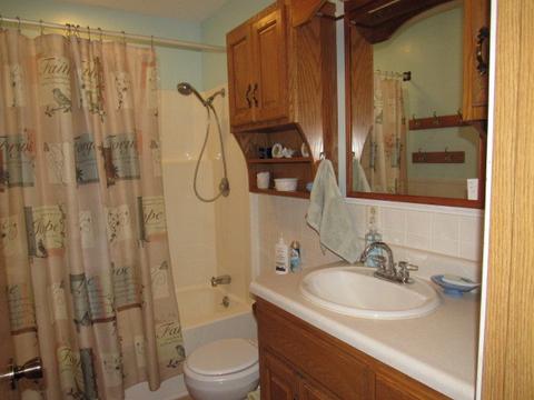 200 E Market St, Dewitt, IL 61735 photo 14