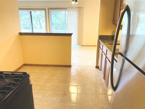 458 Thornhill Ln #B2, Wheeling, IL 60090 photo 7