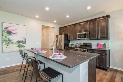 25562 W Springview Dr, Plainfield, IL 60586 photo 7