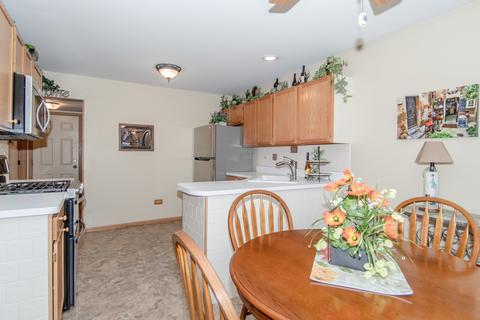 22934 Judith Dr, Plainfield, IL 60586 photo 19
