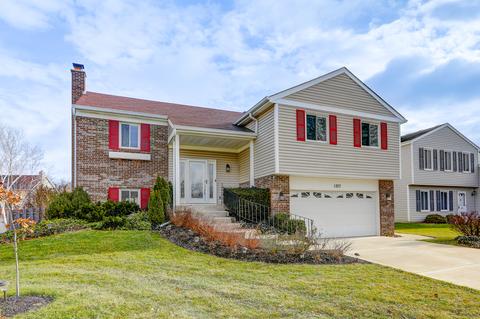 1207 Pinetree Ln, Bartlett, IL 60103 photo 1