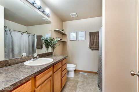 1807 Carlton Dr, Plainfield, IL 60586 photo 20
