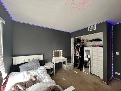 1001 Daniel St, Plano, IL 60545 photo 28