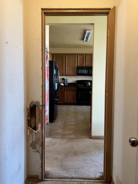 1001 Daniel St, Plano, IL 60545 photo 11