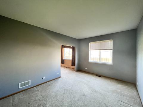 1001 Daniel St, Plano, IL 60545 photo 21