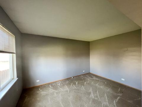 1001 Daniel St, Plano, IL 60545 photo 20