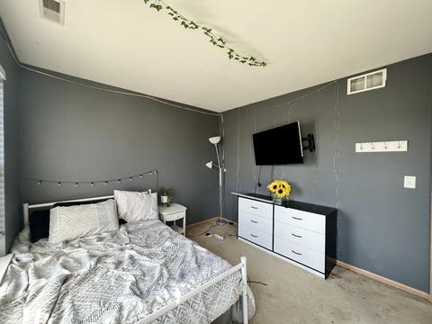 1001 Daniel St, Plano, IL 60545 photo 23