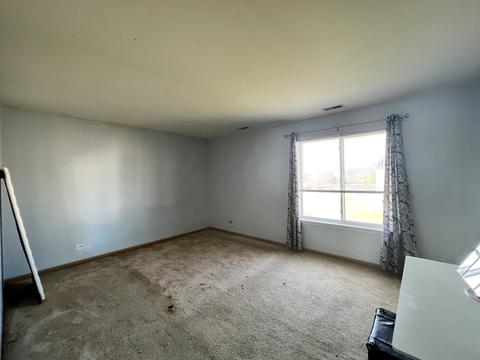 1001 Daniel St, Plano, IL 60545 photo 30