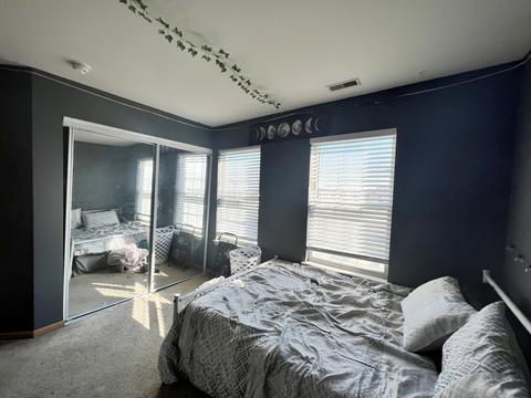 1001 Daniel St, Plano, IL 60545 photo 24