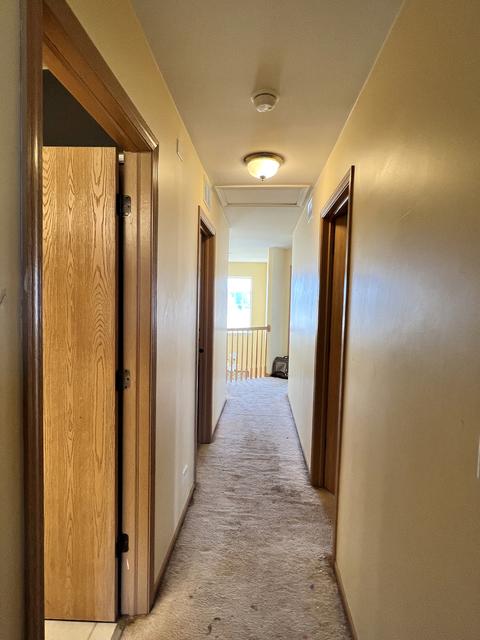 1001 Daniel St, Plano, IL 60545 photo 34