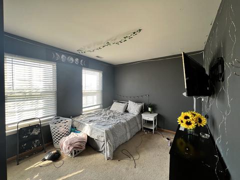 1001 Daniel St, Plano, IL 60545 photo 22