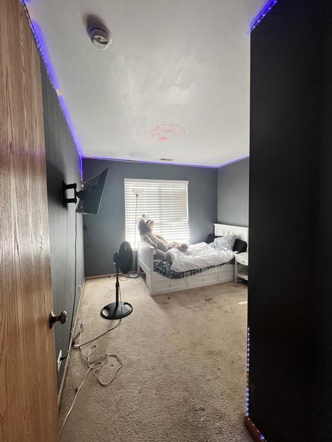 1001 Daniel St, Plano, IL 60545 photo 27
