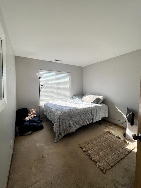 1001 Daniel St, Plano, IL 60545 photo 25