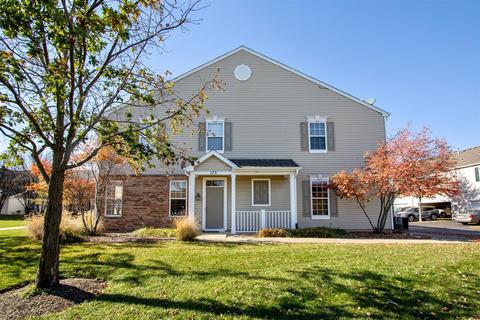 175 Springbrook Trl, Oswego, IL 60543 photo 1