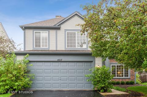 407 Smoketree Ln, Bartlett, IL 60103 photo 1