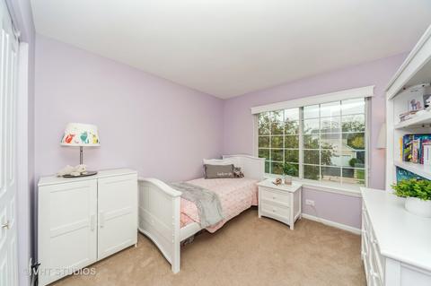 407 Smoketree Ln, Bartlett, IL 60103 photo 18
