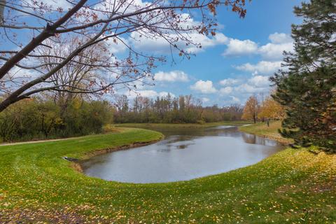 31762 N Pineview Blvd, Lakemoor, IL 60051 photo 25