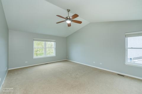 14532 Meadow Ln, Plainfield, IL 60544 photo 19