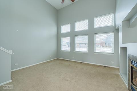 14532 Meadow Ln, Plainfield, IL 60544 photo 9