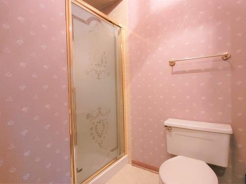2524 Troy Cir, Olympia Fields, IL 60461 photo 34