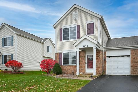 803 Daniel Dr, Minooka, IL 60447 photo 2