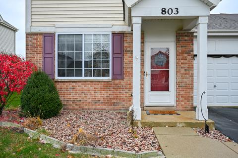 803 Daniel Dr, Minooka, IL 60447 photo 3