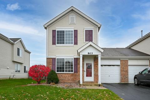 803 Daniel Dr, Minooka, IL 60447 photo 1