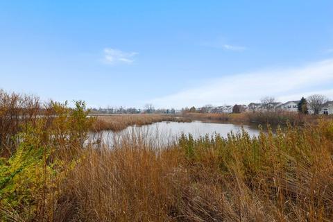 4136 Oak Tree Ln, Plainfield, IL 60586 photo 26