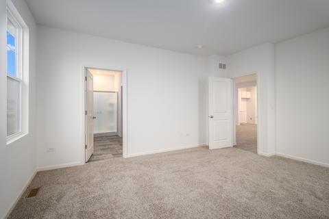 25564 Cerena Cir, Plainfield, IL 60586 photo 21