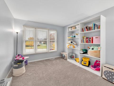 1106 Fieldstone Ct, Bartlett, IL 60103 photo 18