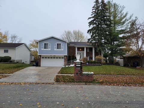 139 Pheasant Rd, Matteson, IL 60443 photo 1