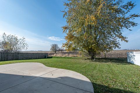 14442 Capital Dr, Plainfield, IL 60544 photo 29