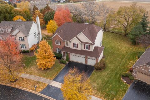 26117 Mapleview Dr, Plainfield, IL 60585 photo 3