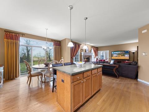 26117 Mapleview Dr, Plainfield, IL 60585 photo 9