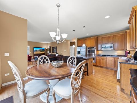 26117 Mapleview Dr, Plainfield, IL 60585 photo 12