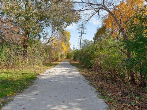 408 Crescent St, Wheaton, IL 60187 photo 29