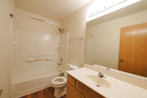 975 Serendipity Dr, Aurora, IL 60504 photo 11